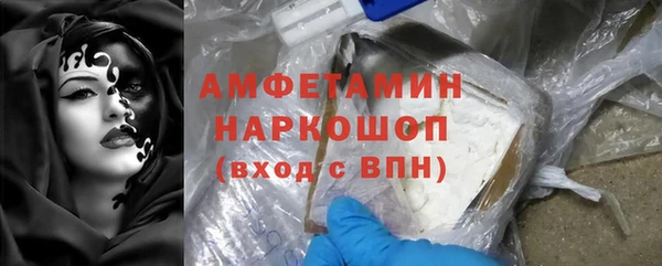 гидра Елизово
