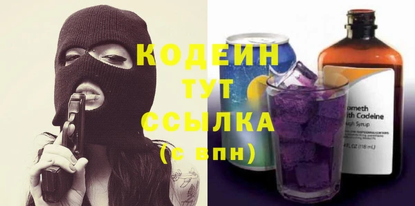 спиды Ельня