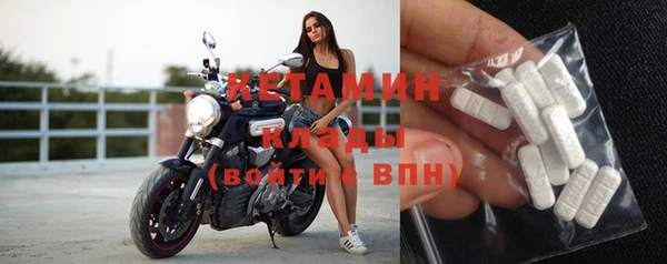 гидра Елизово