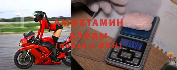 гидра Елизово