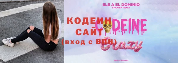 гидра Елизово
