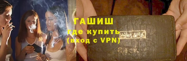 спиды Ельня