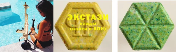 гидра Елизово