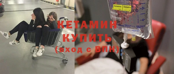 спиды Ельня