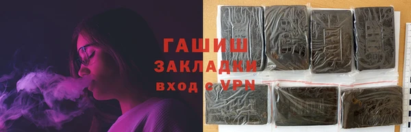 спиды Ельня