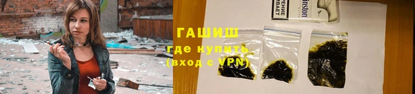 спиды Ельня