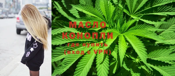 гидра Елизово
