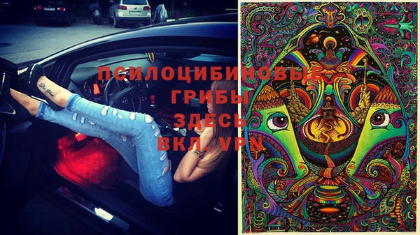 твердый Елабуга