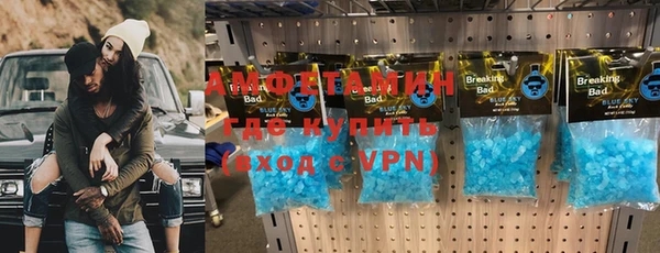 гидра Елизово