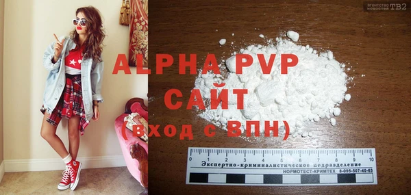 гидра Елизово