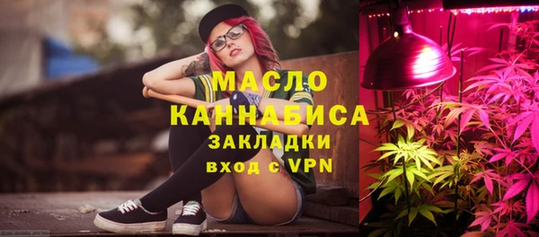 гидра Елизово