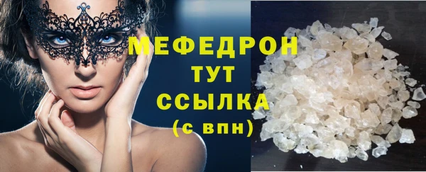 спиды Ельня