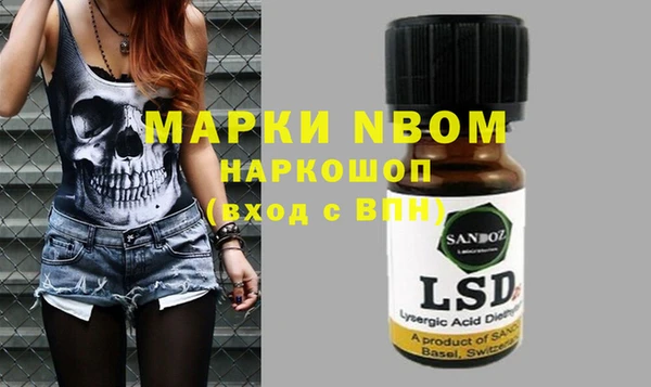 спиды Ельня