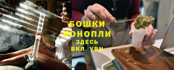 спиды Ельня