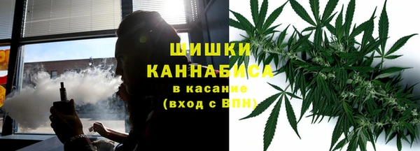 спиды Ельня